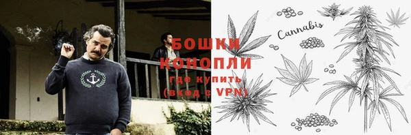 шишки Карпинск