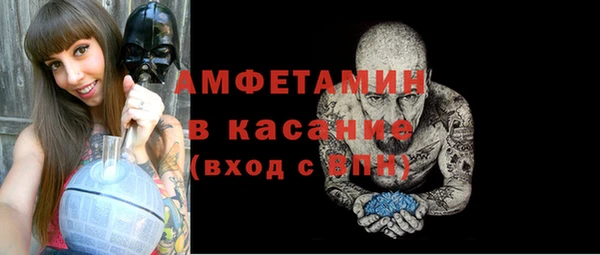 шишки Карпинск