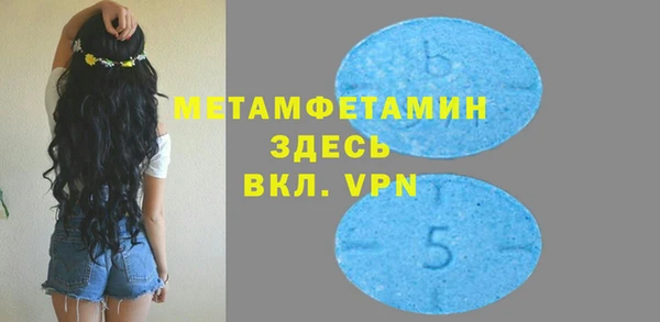 шишки Карпинск
