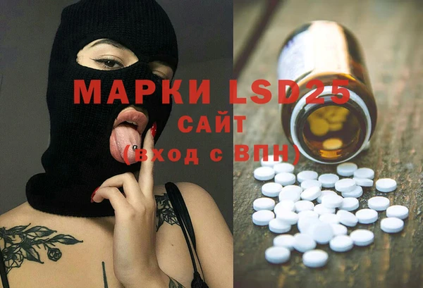шишки Карпинск