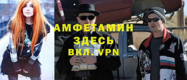 шишки Карпинск