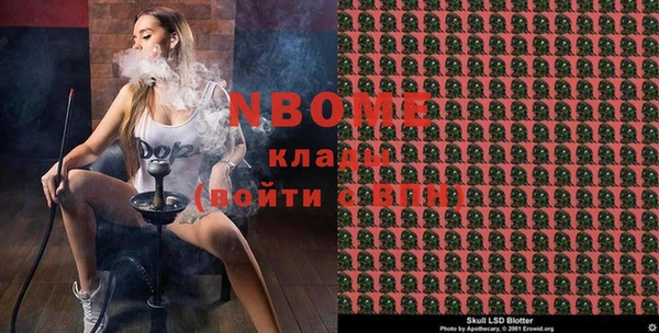 шишки Карпинск