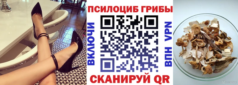закладка  Черноголовка  Псилоцибиновые грибы Cubensis 